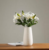 Home Decoration Ceramic Vase