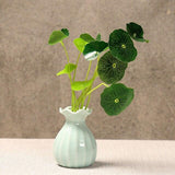 Ceramic Vase