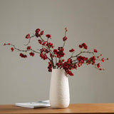 Home Decoration Ceramic Vase
